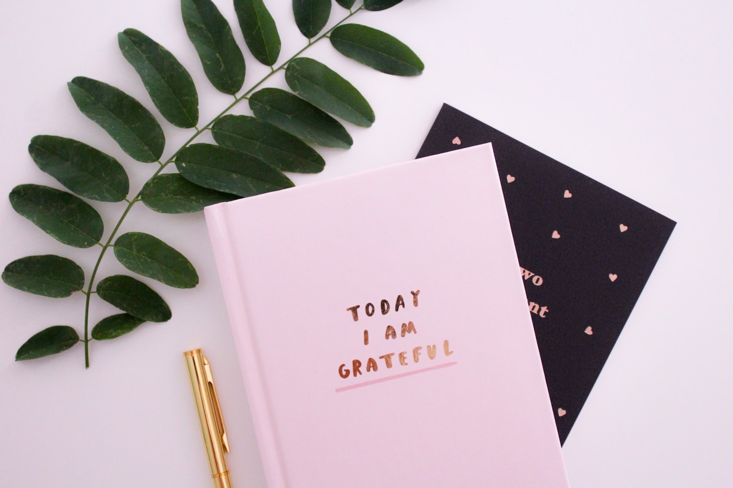 The Power of Personal Experiences Told Through Words